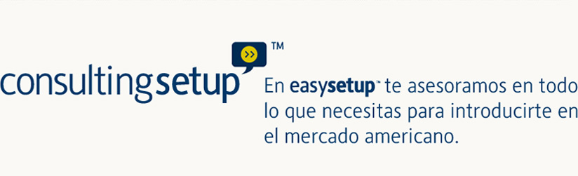 consultingsetup
